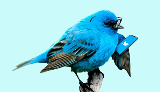 無料で使える Twitter アカウント運用ツール「SocialDog（ソーシャルドッグ）」使ってみました～